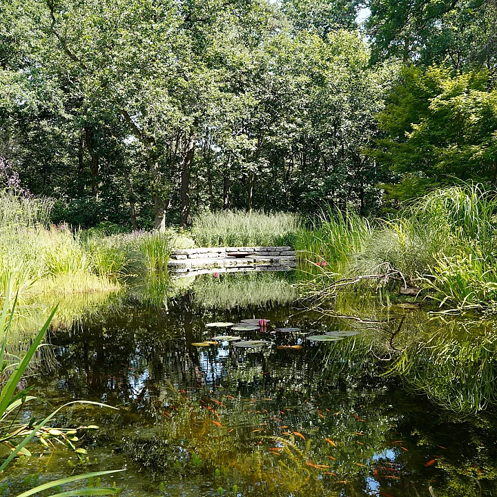 Villatuin in het bos