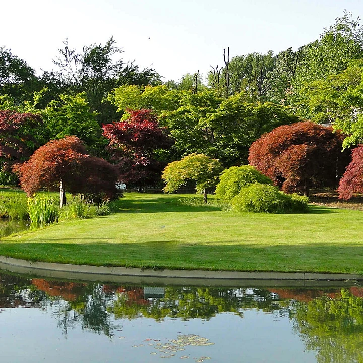 Showtuin Nuenen